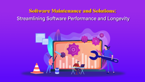 Software Maintenance and Solutions